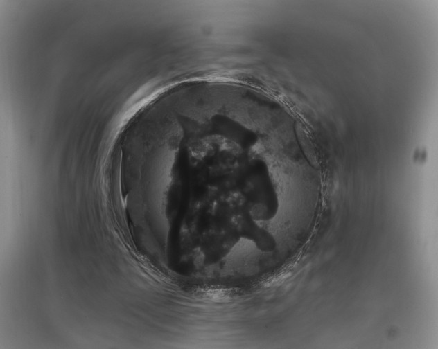 X0000097870295200803141304