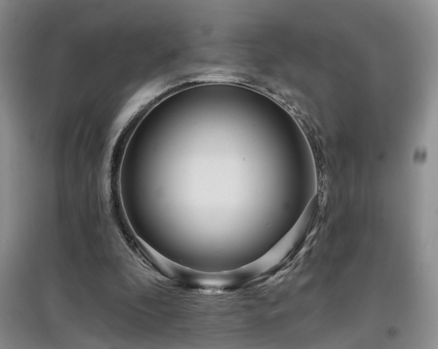 X0000097870296200803141304