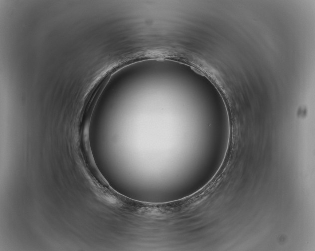 X0000097870297200803141304