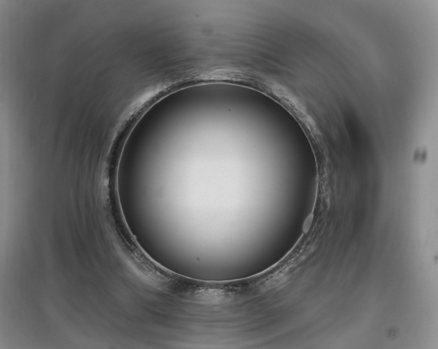 X0000097870298200803141304