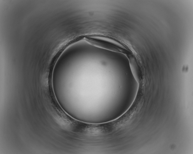 X0000097870299200803141304
