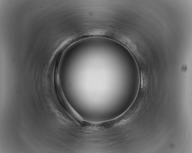 X0000097870300200803141304