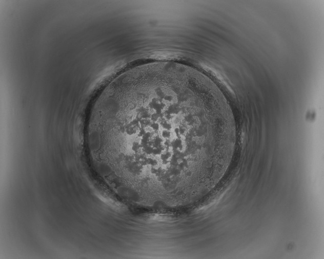 X0000097870303200803141304