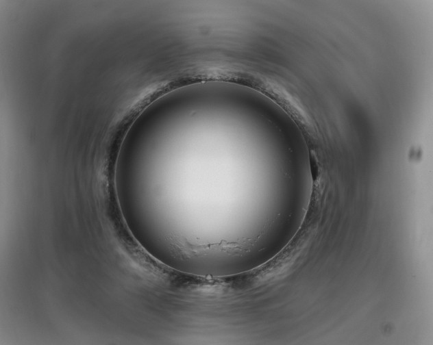 X0000097870306200803141303