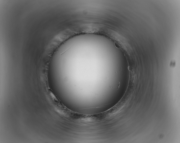 X0000097870307200803141303