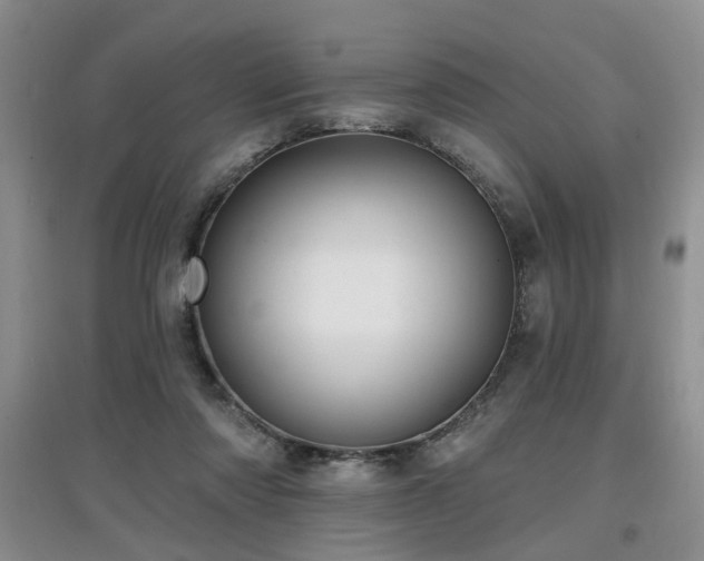 X0000097870310200803141303