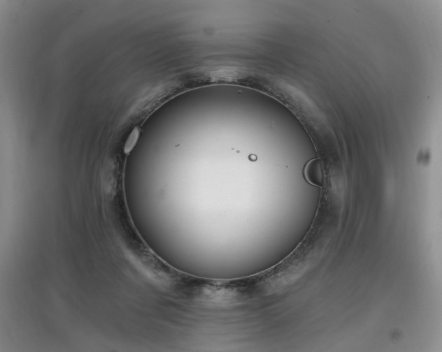X0000097870311200803141303