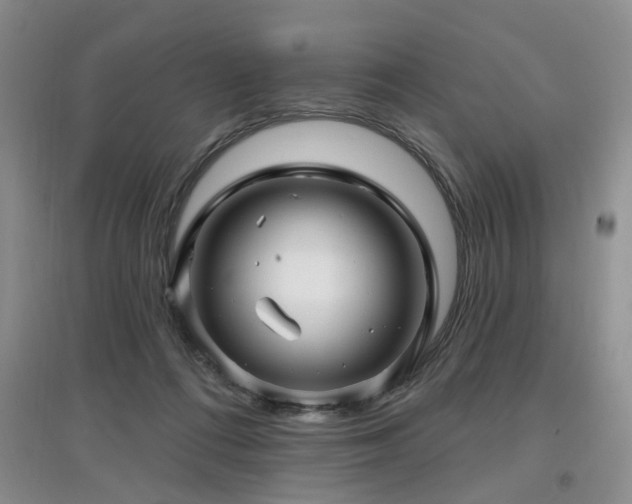 X0000097870312200803141303