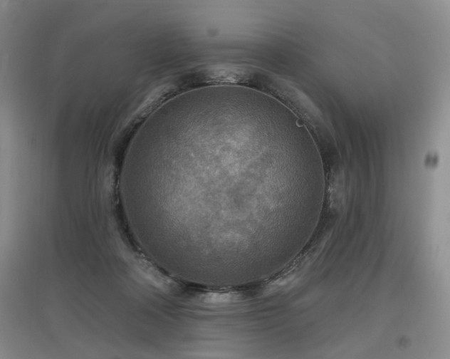 X0000097870314200803141303