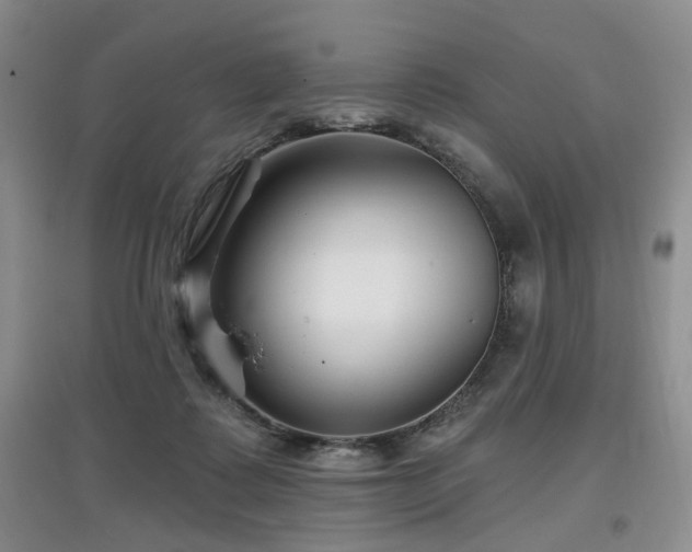 X0000097870315200803141303