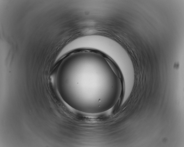 X0000097870316200803141303