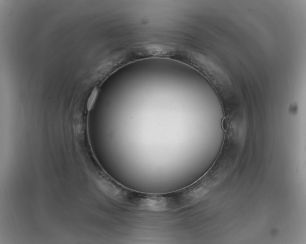 X0000097870317200803141303