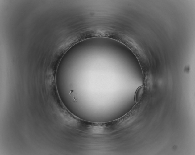 X0000097870318200803141303
