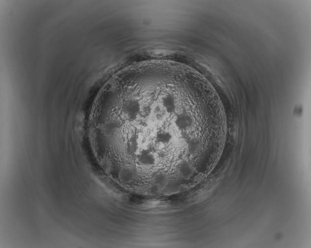 X0000097870319200803141303