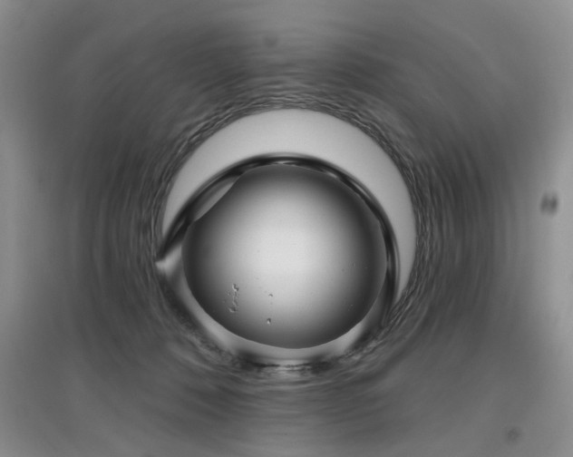 X0000097870320200803141303