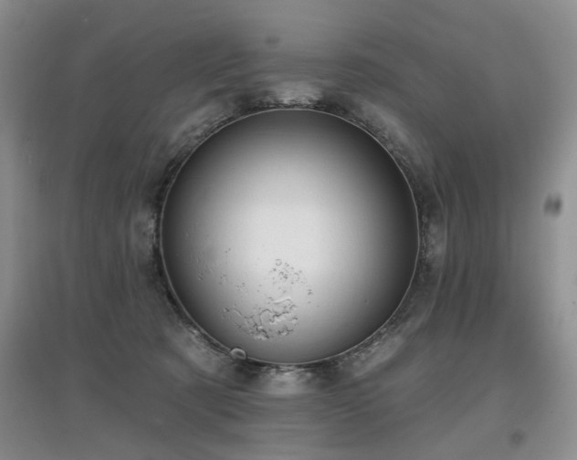X0000097870321200803141303