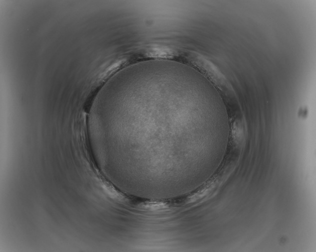 X0000097870322200803141303