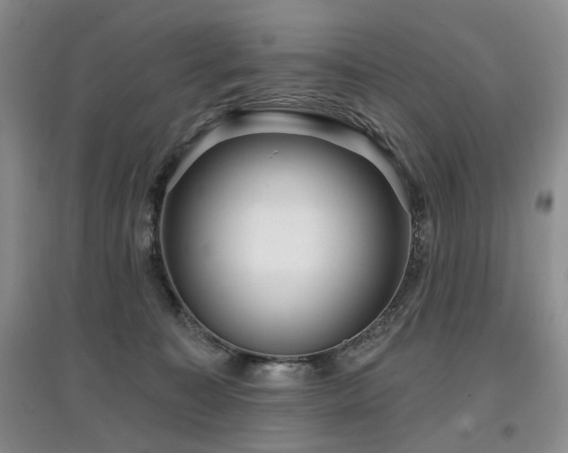 X0000097870323200803141303