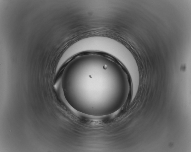 X0000097870324200803141303