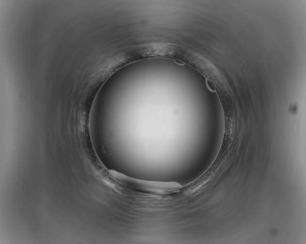 X0000097870326200803141303