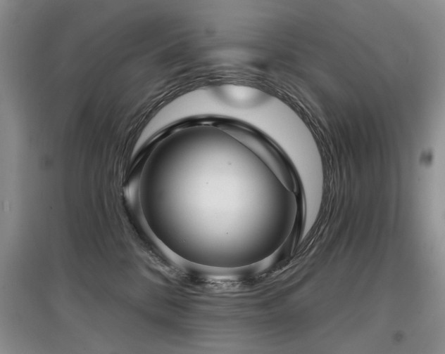 X0000097870328200803141303
