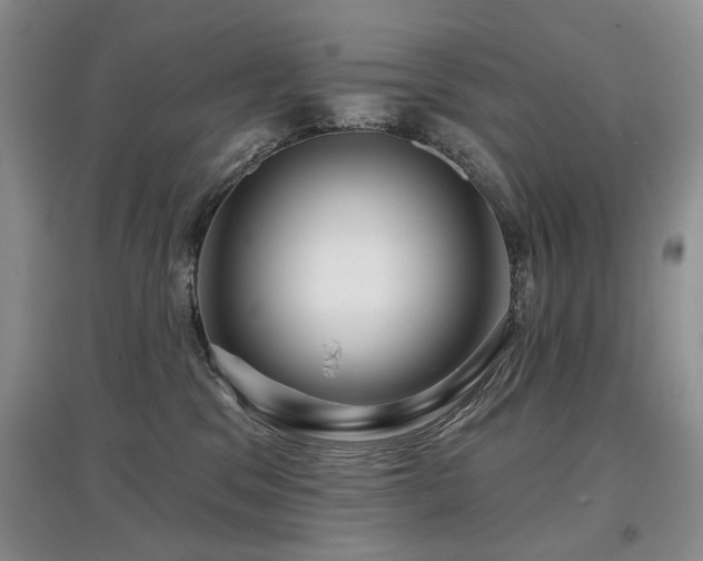X0000097870329200803141303
