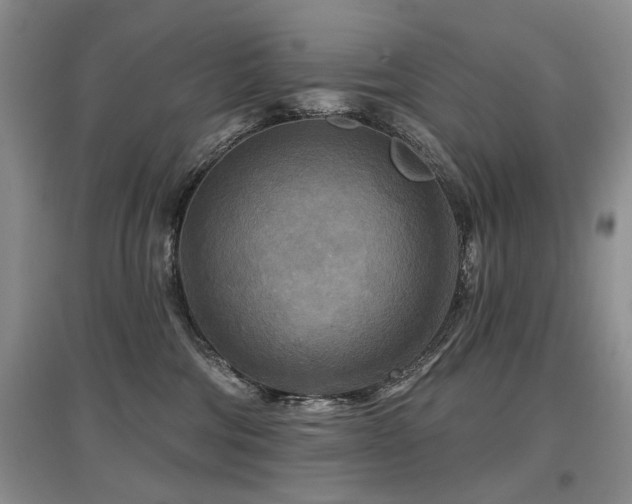 X0000097870330200803141303