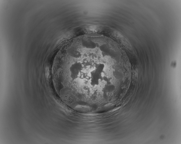 X0000097870331200803141303
