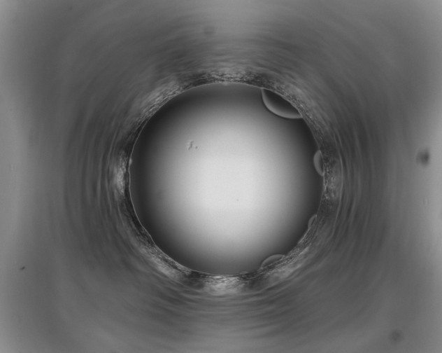 X0000097870334200803141303