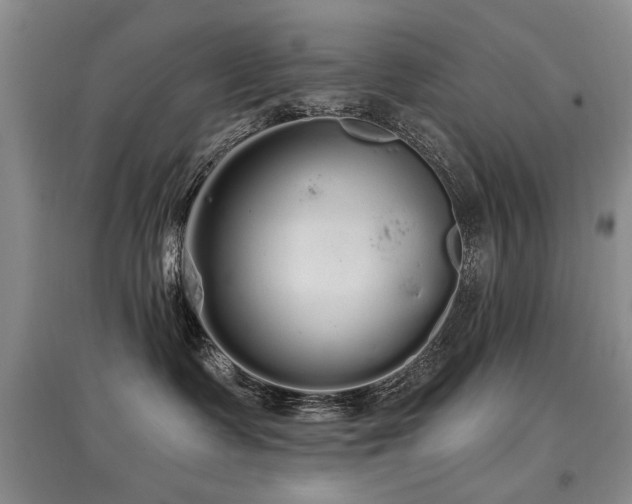 X0000097870335200803141303