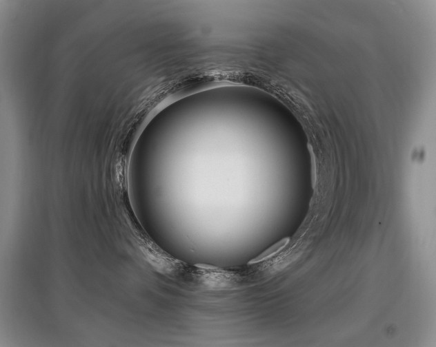 X0000097870336200803141303