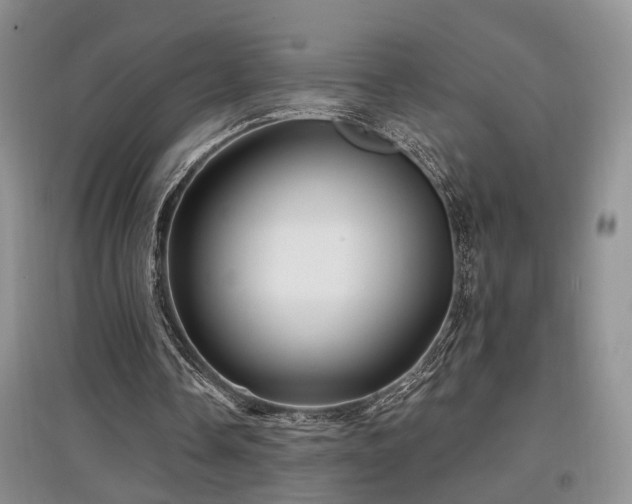 X0000097870338200803141302