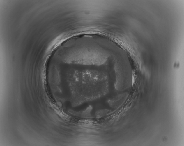 X0000097870339200803141302