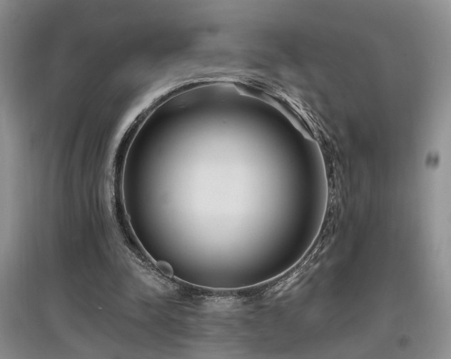 X0000097870342200803141302