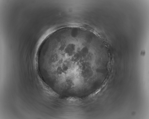 X0000097870343200803141302