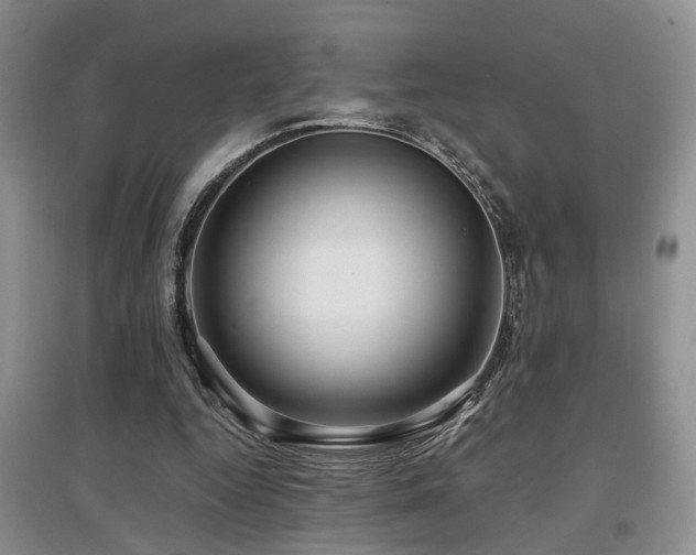 X0000097870344200803141303