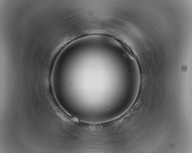 X0000097870345200803141303