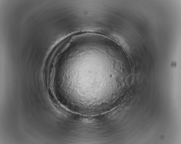 X0000097870346200803141303