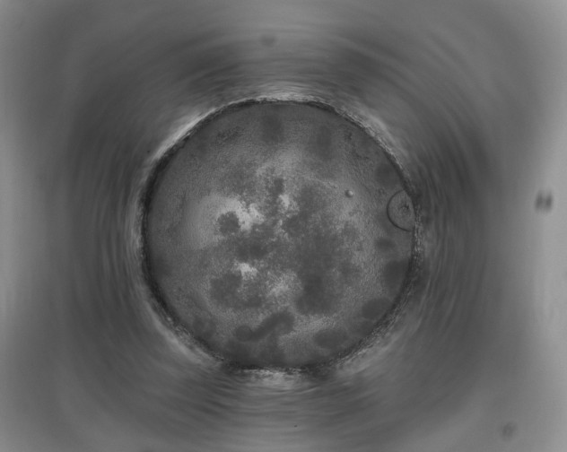 X0000097870347200803141303