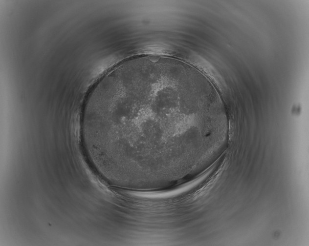 X0000097870349200803141303