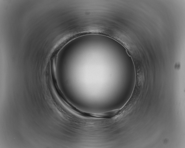 X0000097870350200803141303