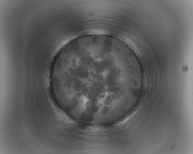 X0000097870351200803141303