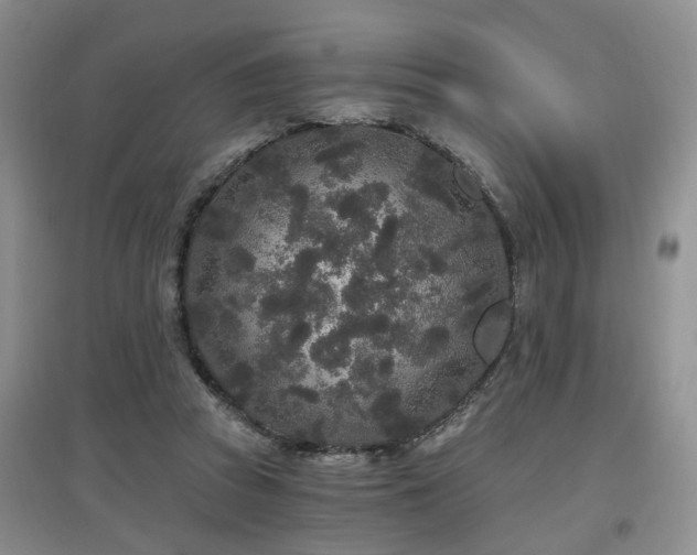 X0000097870353200803141303