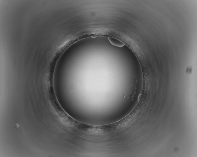X0000097870354200803141303