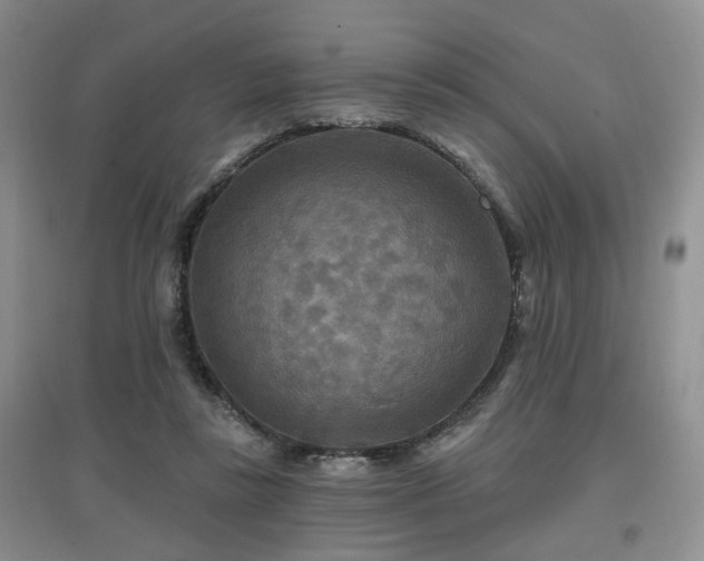 X0000097870355200803141303