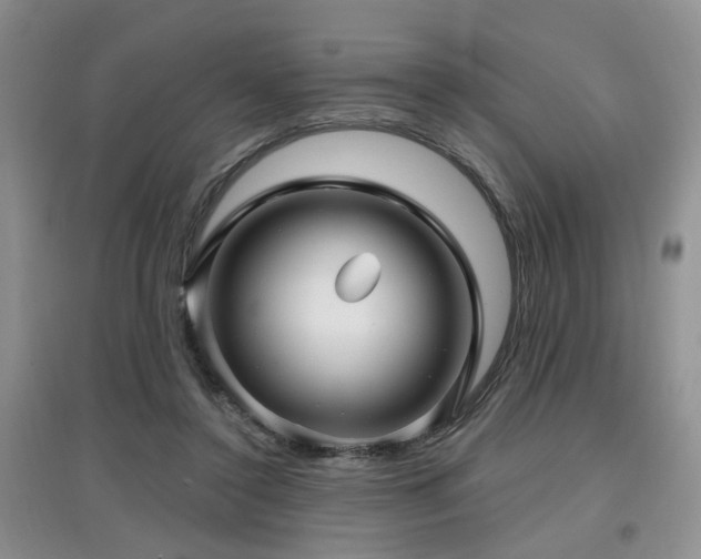 X0000097870356200803141303