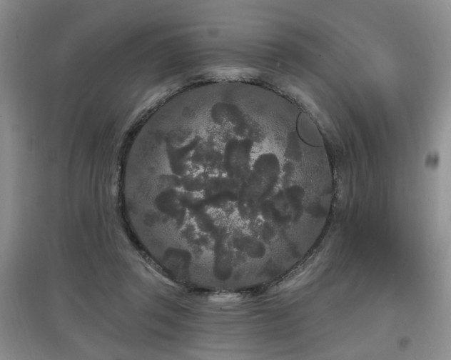 X0000097870357200803141303