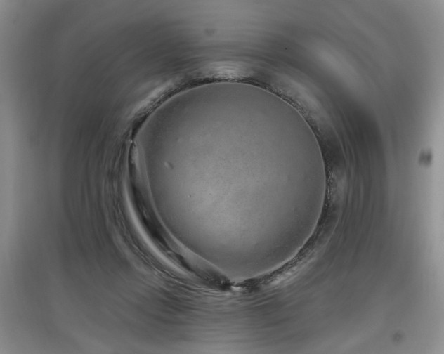 X0000097870358200803141303