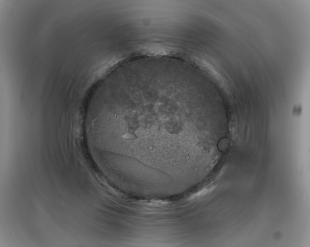 X0000097870359200803141303