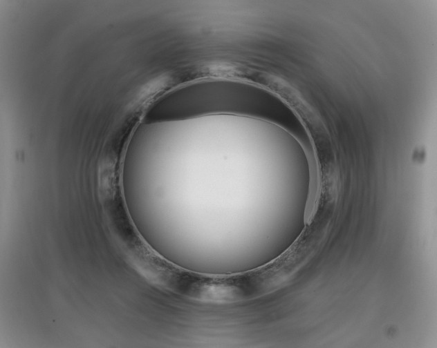 X0000097870360200803141303